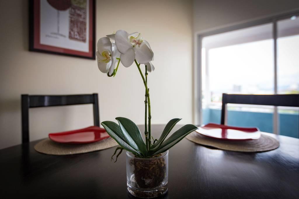 The Brompton'S Luxury Apartment Kingston Exterior photo